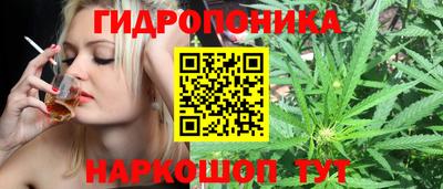 наркотики Кандалакша