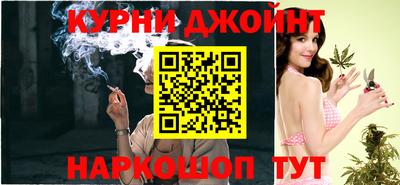 молекула духа Камышлов