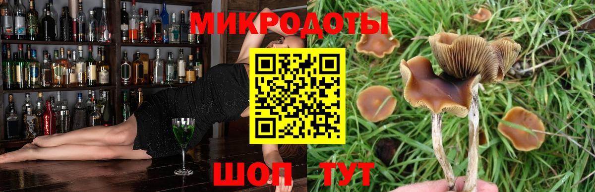 Галлюциногенные грибы Psilocybine cubensis Дагестанские Огни