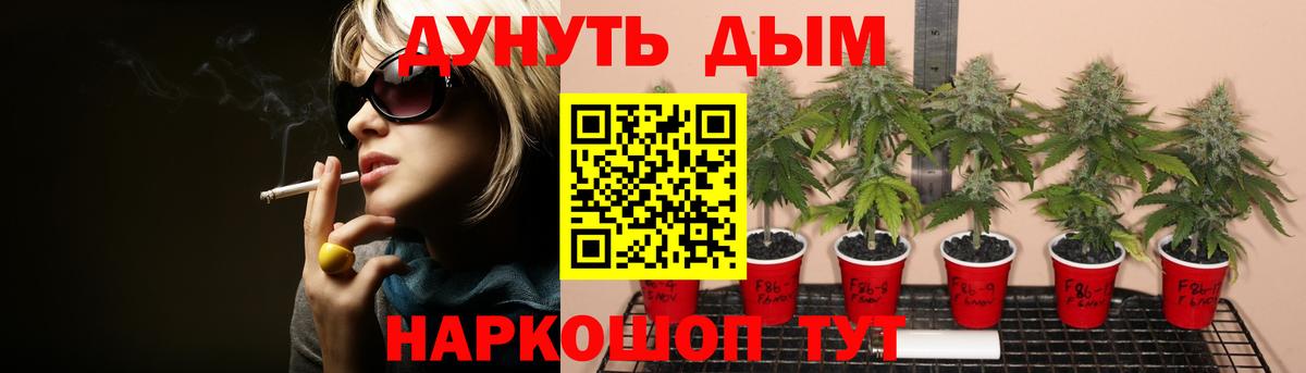 Конопля гибрид Дагестанские Огни